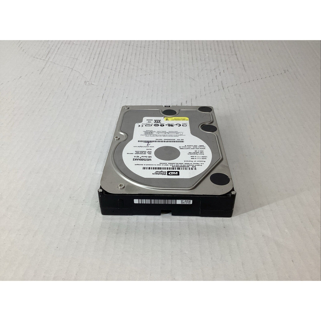 Western Digital WD2500AAKS-00VYA0 250GB WD Caviar SE16 Hard Drive