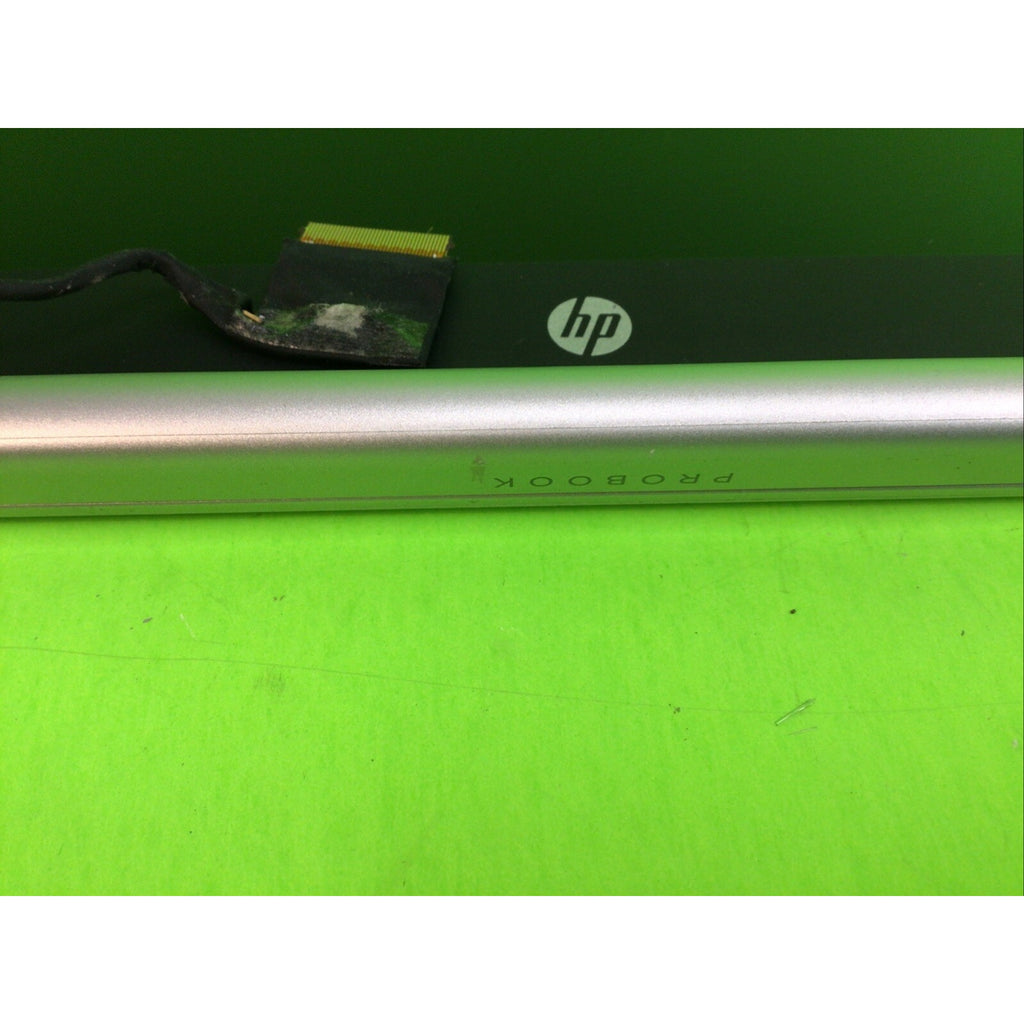 HP Pro Book 455 G5 LCD Assembly