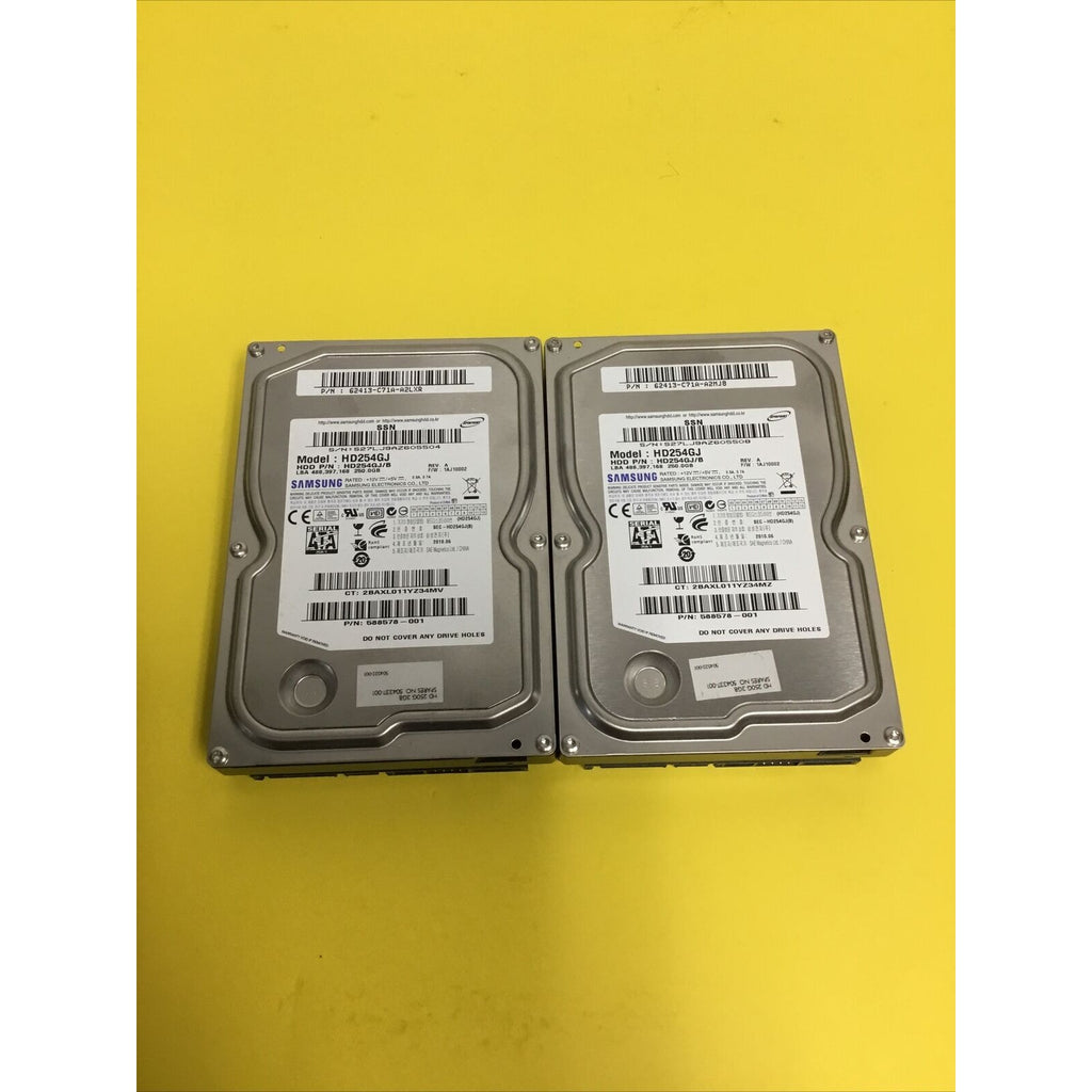 LOT: 2x SAMSUNG HD254GJ 250GB SATA II 7.2k rpm 3.5" P/N 588578-001
