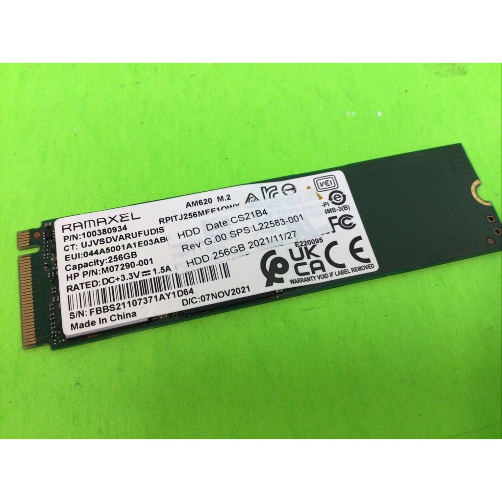 RAMAXEL AM620 256GB M.2 2280 PCIe NVMe SSD RPITJ256MEE1OWX